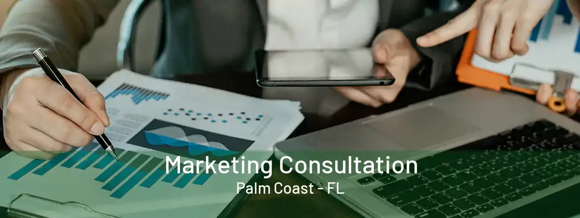  Marketing Consultation Palm Coast - FL