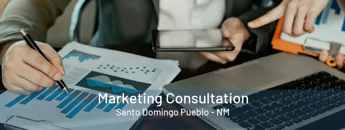  Marketing Consultation Santo Domingo Pueblo - NM