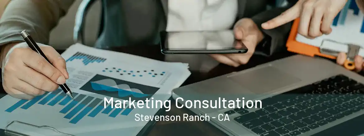  Marketing Consultation Stevenson Ranch - CA