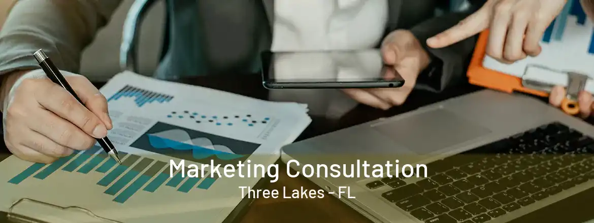  Marketing Consultation Three Lakes - FL