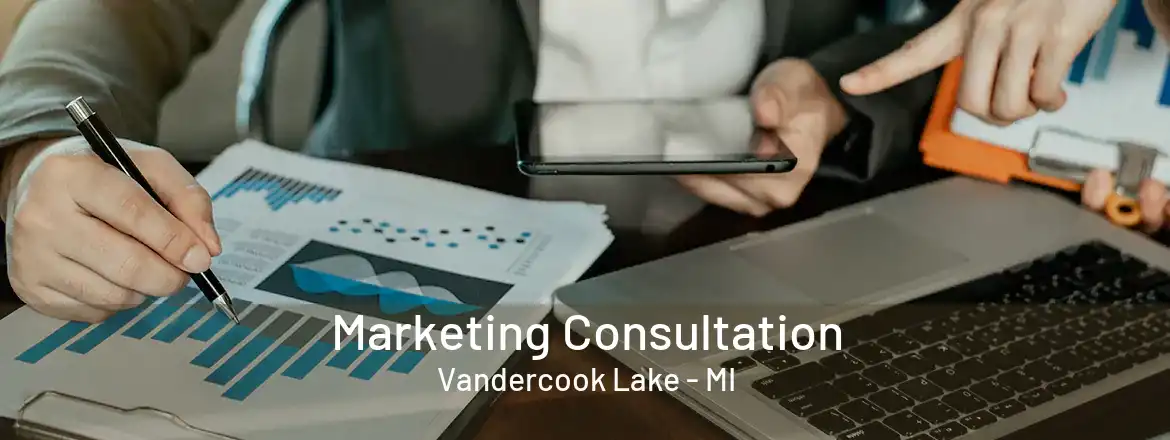  Marketing Consultation Vandercook Lake - MI