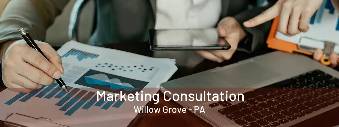  Marketing Consultation Willow Grove - PA