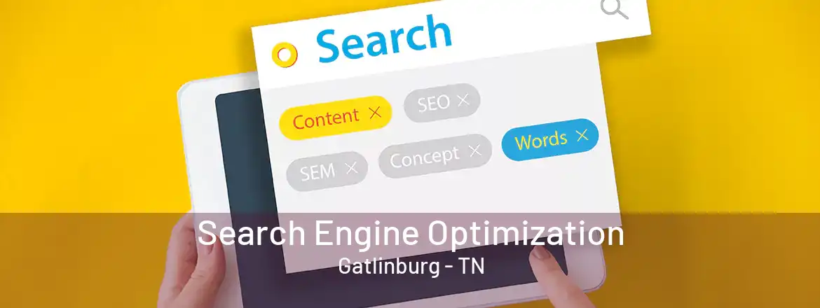  Search Engine Optimization Gatlinburg - TN