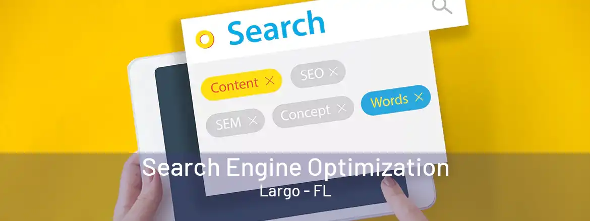  Search Engine Optimization Largo - FL