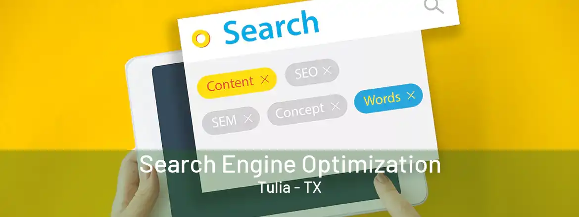  Search Engine Optimization Tulia - TX