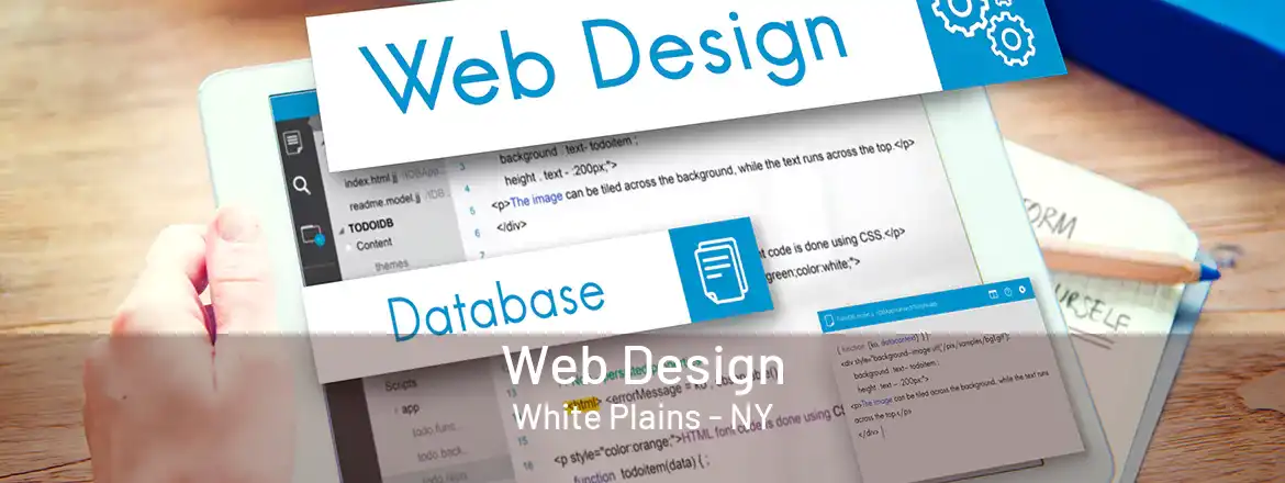  Web Design White Plains - NY
